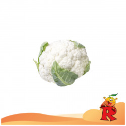 Cavolfiore Bianco 1 Pz.