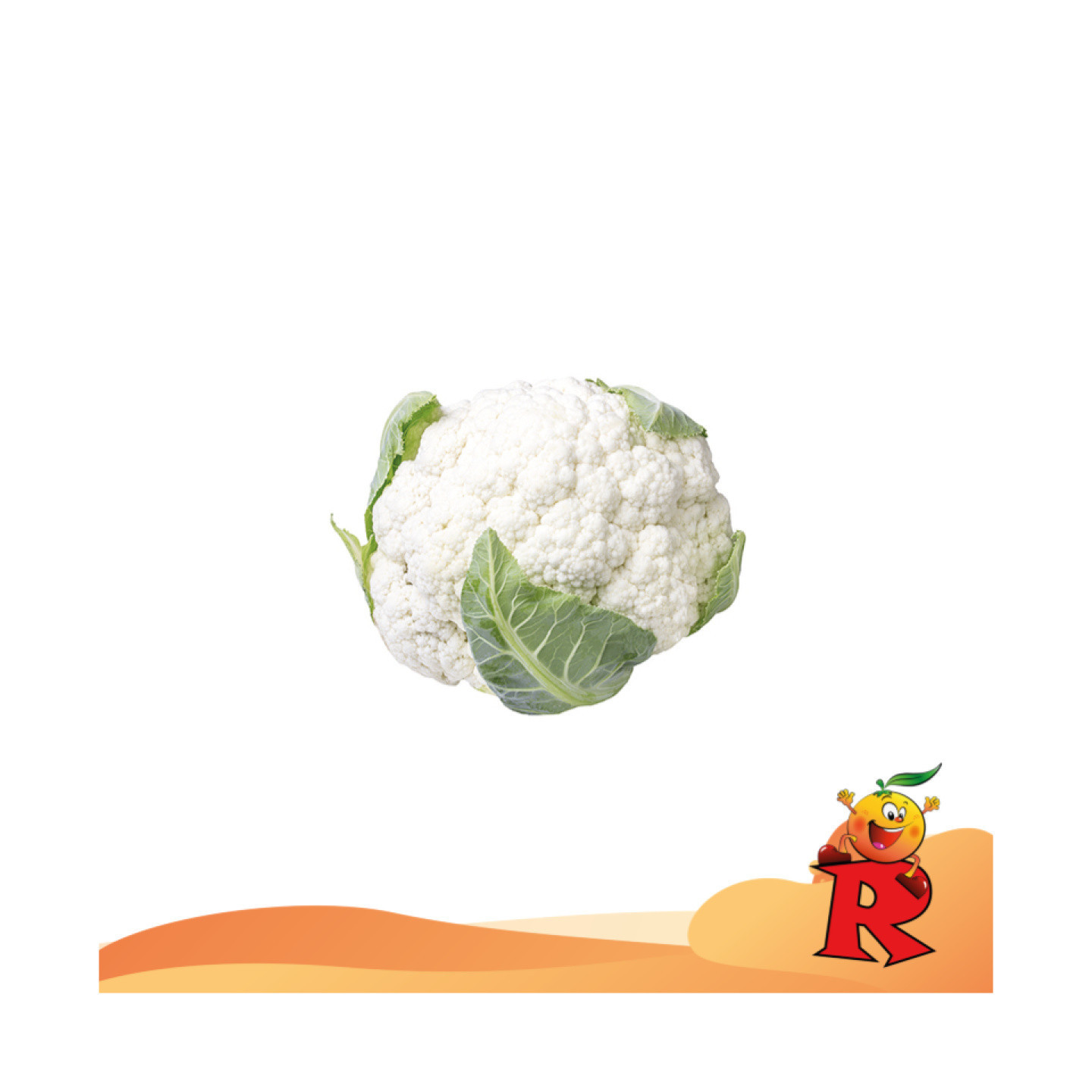 Cavolfiore Bianco 1 Pz.