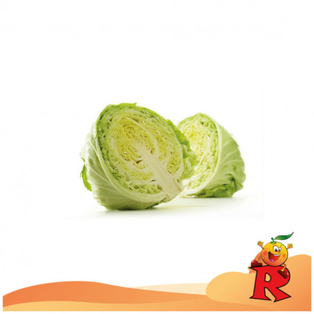 Cavolo Verza 1 Pz.