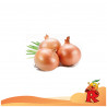 Cipolle Bionde 500 Gr.