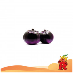 Melanzana Viola 1 Pezzo