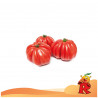 Pomodori Cuore di Bue 500 grammi
