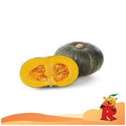 Zucca Delica 1 Pezzo